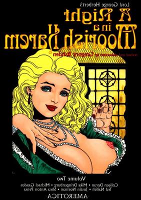 Comic: A night in a moorish harem VOL. (en)