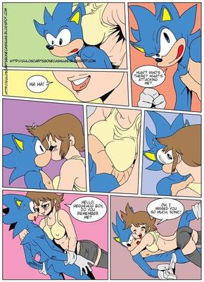 Pelziger Gay-Comic - Sonic XXX