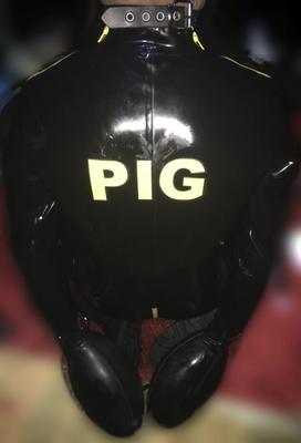 Stupid Fuck Pig