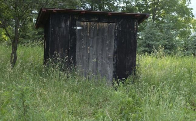 Tied up in the Barn