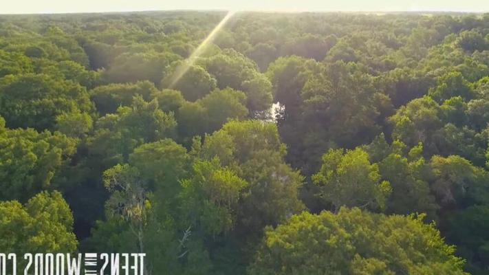 Adolescente en el bosque: Sally Squirtz