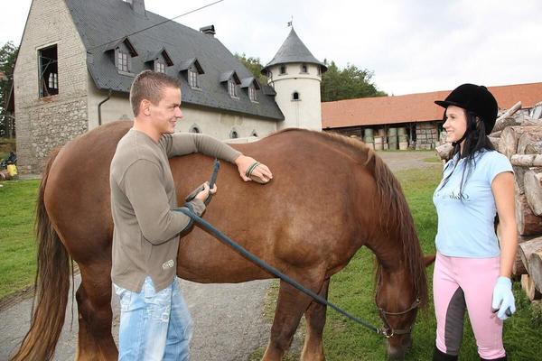 Hardcore abandonnant Horsey